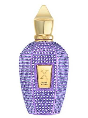 Xerjoff Unisex V Purple Accento EDP Spray 3.4 oz Fragrances 8054320904342