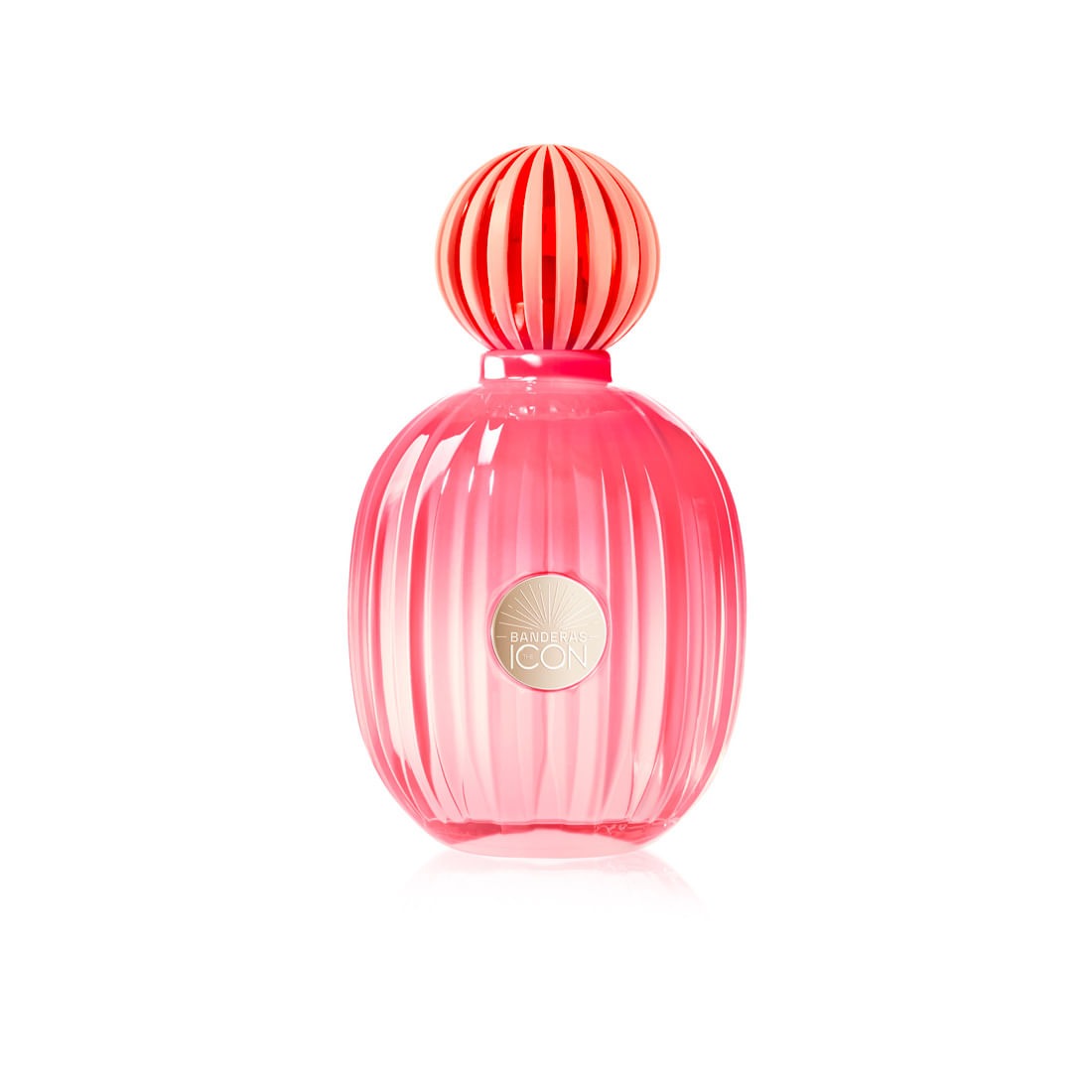 Antonio Banderas Ladies The Icon Splendid EDP Spray 3.4 oz Fragrances 8411061084922