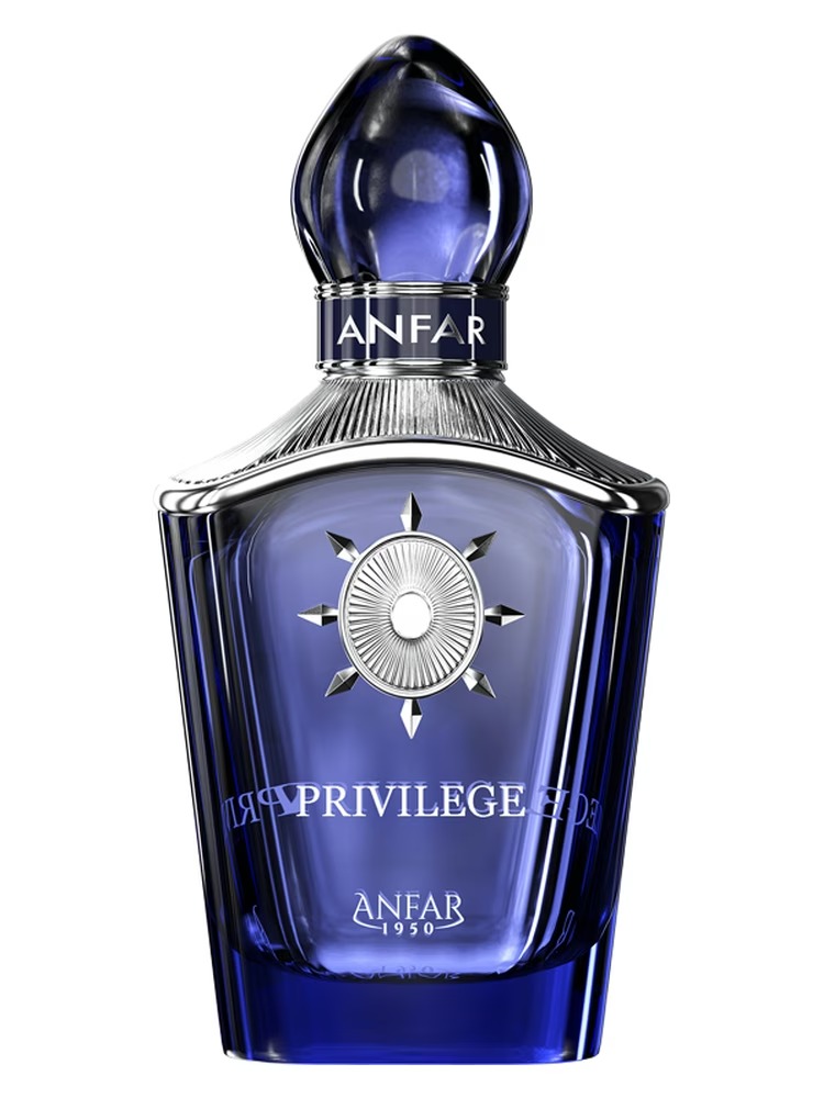 Anfar Mens Privilege Extrait de Parfum Spray 3.4 oz Fragrances 6294022300246