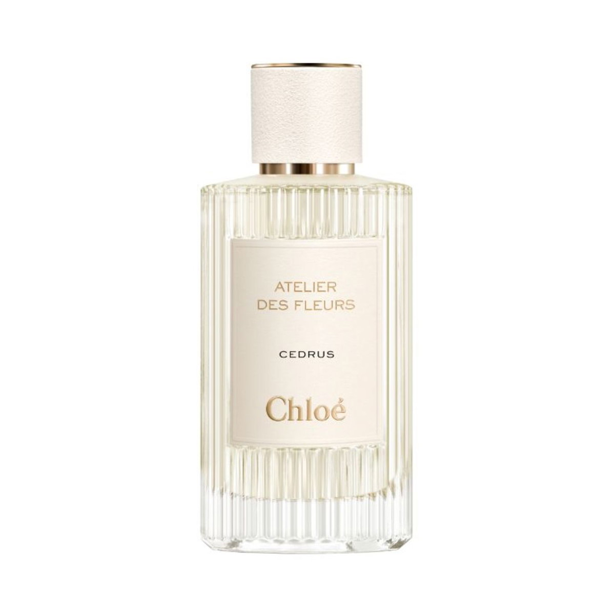 Chloe Unisex Atelier Des Fleurs Cedrus EDP Spray 5.0 oz Fragrances 3614225344916